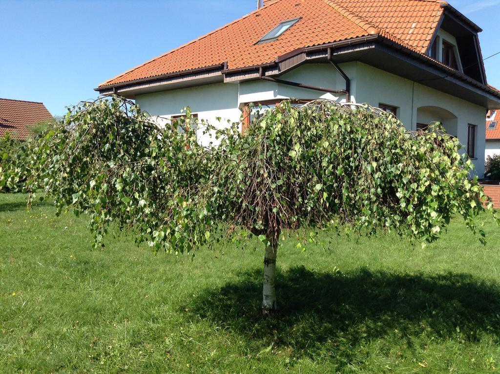 Landhaus Mit Garten Щецин Екстер'єр фото